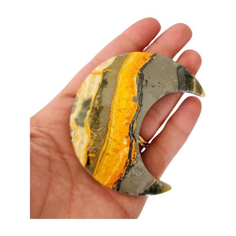 Bumblebee Jasper Moon