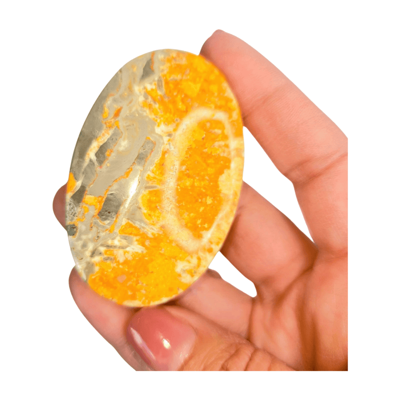 Bumblebee Jasper Palm Stone