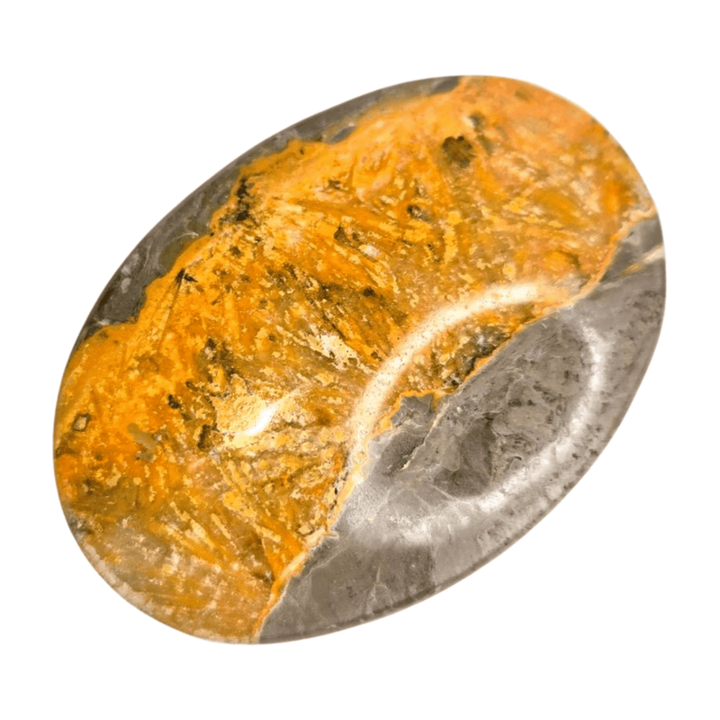Bumblebee Jasper Palm Stone