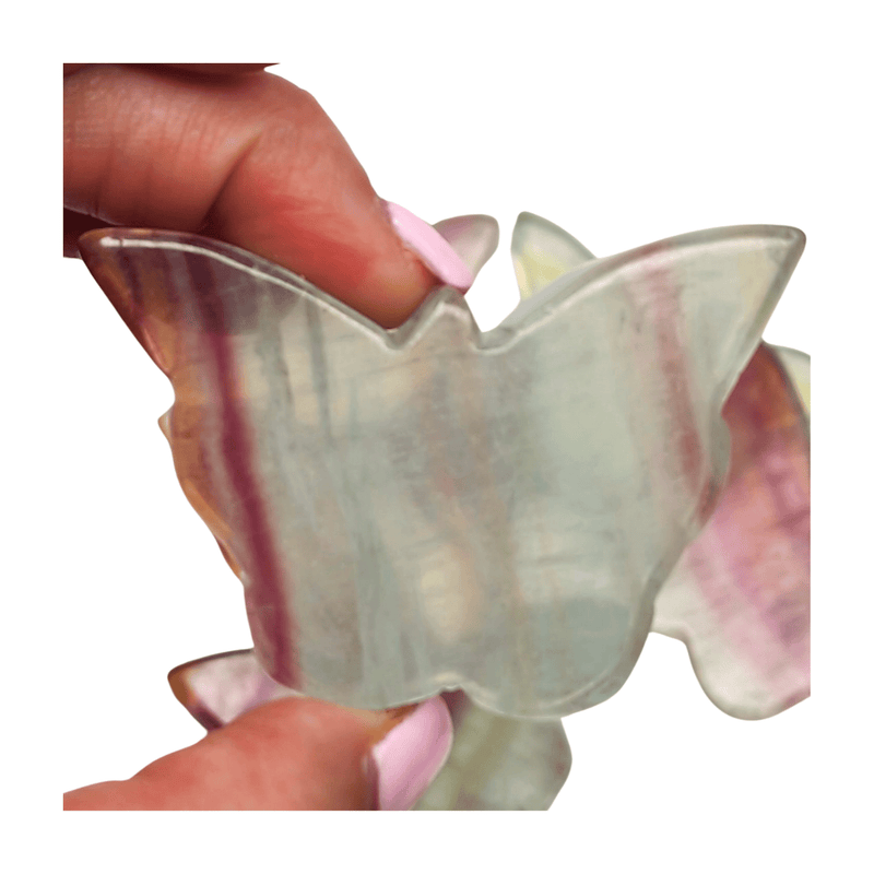 Candy Fluorite Butterfly