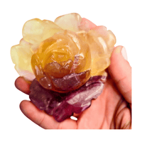 Candy Fluorite Rose with Lamp