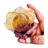 Candy Fluorite Rose with Lamp