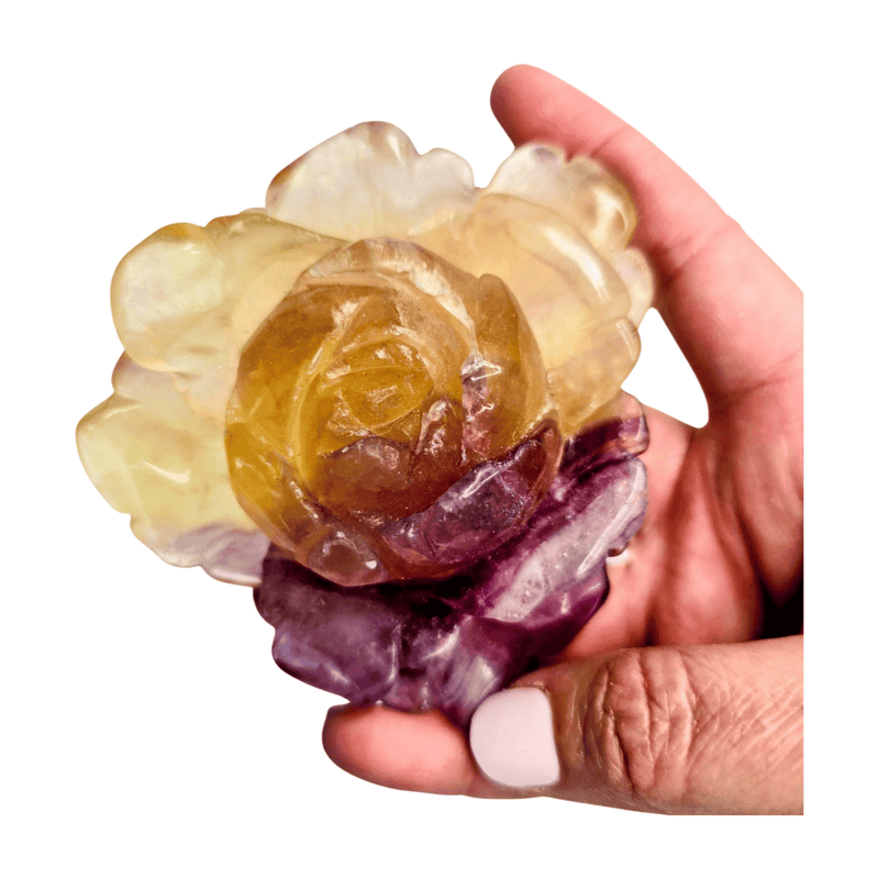 Candy Fluorite Rose with Lamp