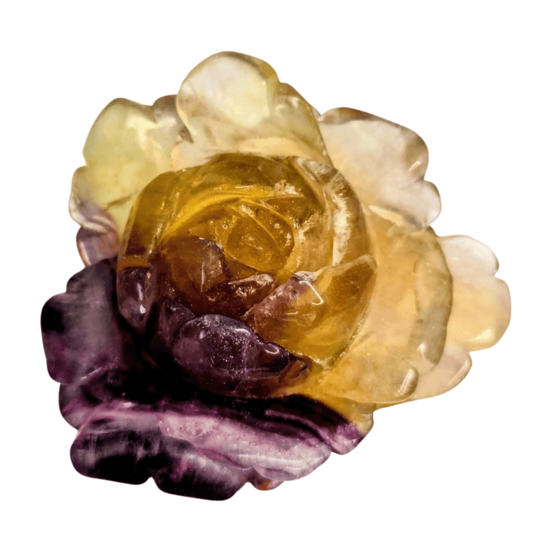 Candy Fluorite Rose with Lamp