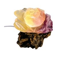 Candy Fluorite Rose with Lamp