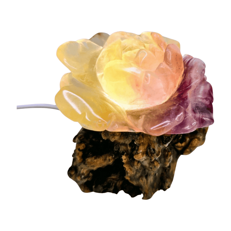 Candy Fluorite Rose with Lamp