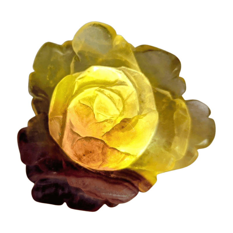 Candy Fluorite Rose with Lamp