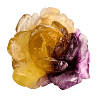 Candy Fluorite Rose with Lamp