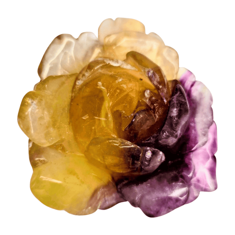 Candy Fluorite Rose with Lamp