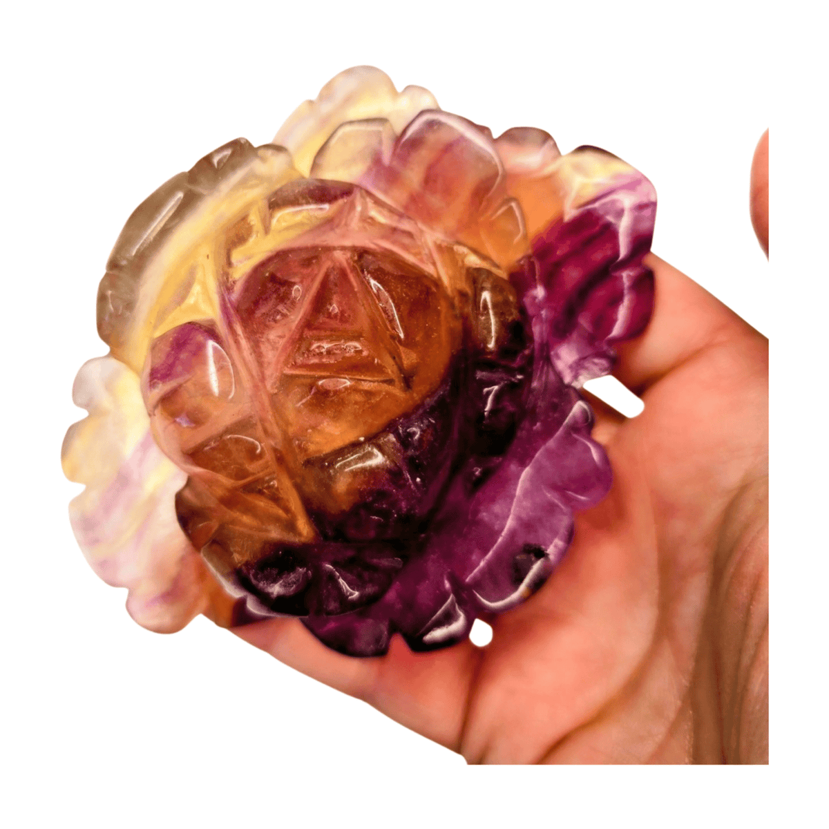 Candy Fluorite Rose with Lamp