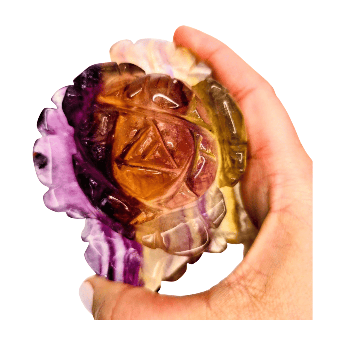 Candy Fluorite Rose with Lamp