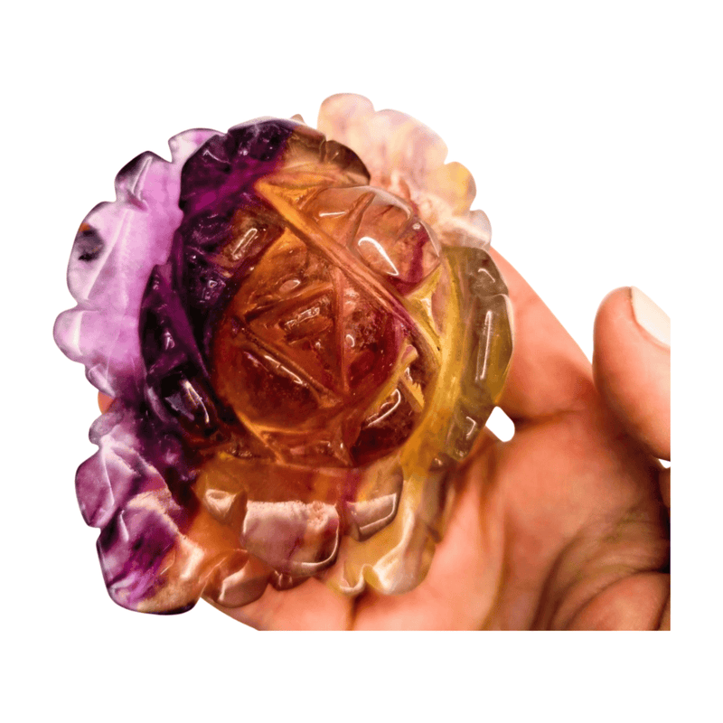 Candy Fluorite Rose with Lamp
