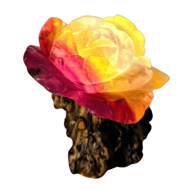 Candy Fluorite Rose with Lamp