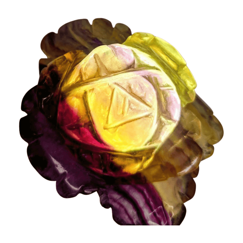 Candy Fluorite Rose with Lamp