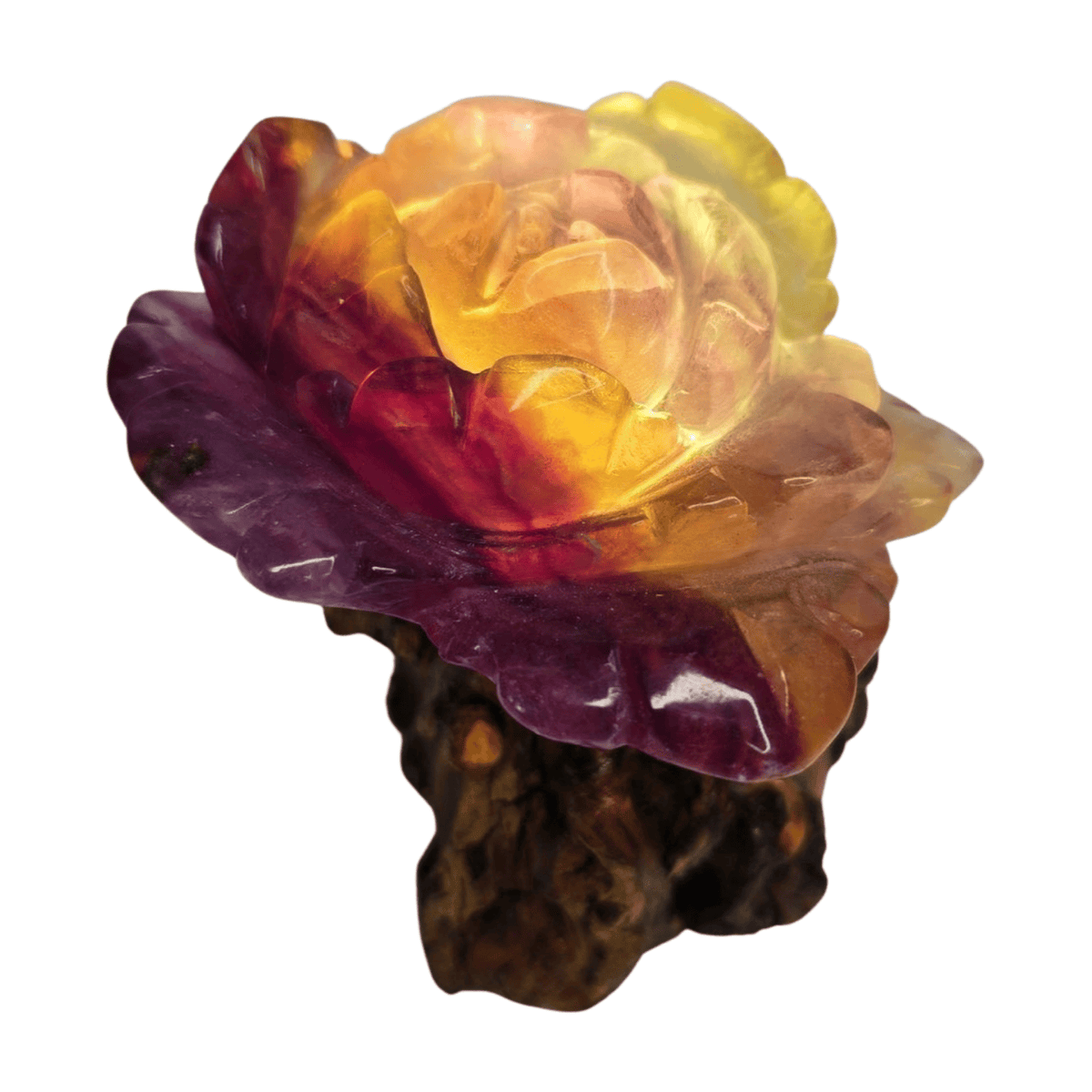 Candy Fluorite Rose with Lamp