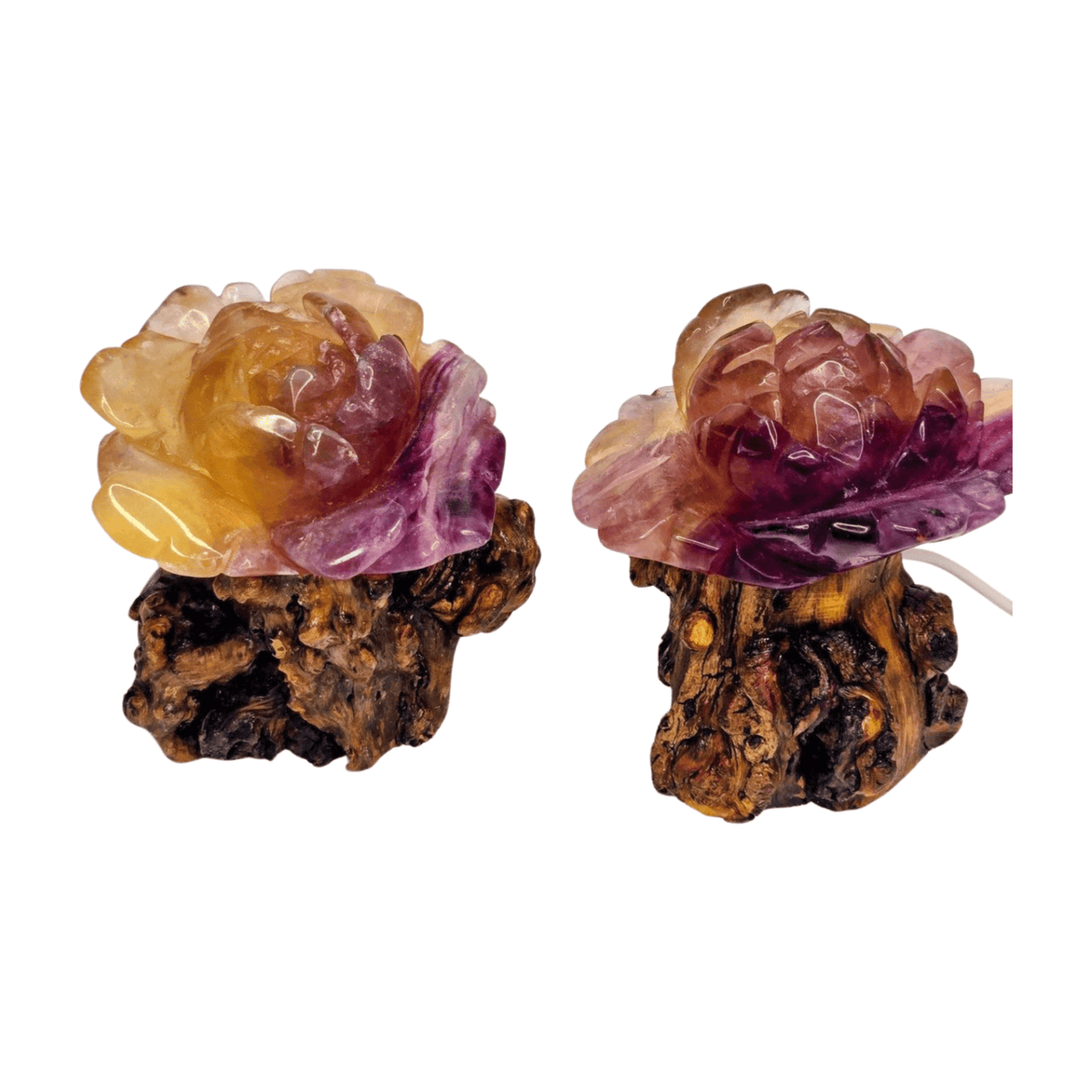 Candy Fluorite Rose with Lamp