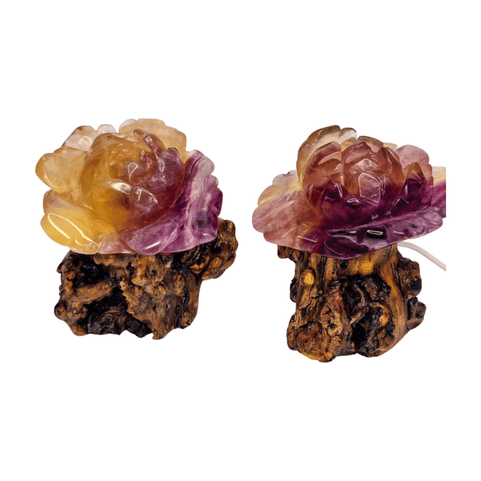 Candy Fluorite Rose with Lamp