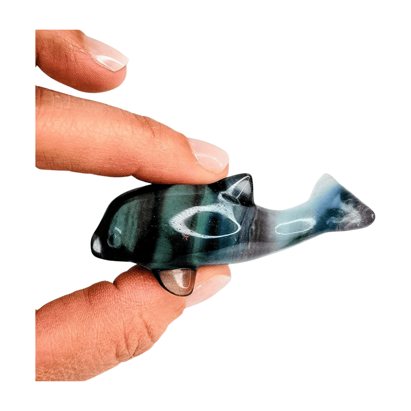 Candy Fluorite Dolphin