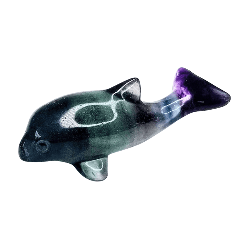 Candy Fluorite Dolphin