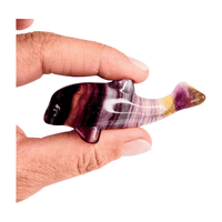 Candy Fluorite Dolphin