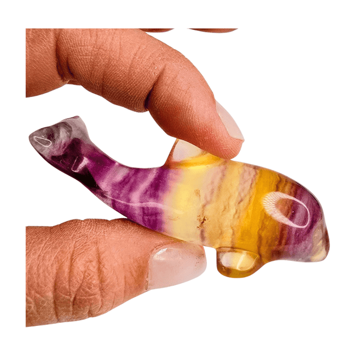 Candy Fluorite Dolphin