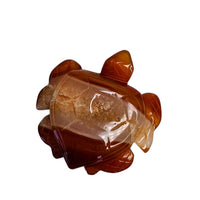 Carnelian Turtle