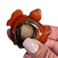 Carnelian Turtle