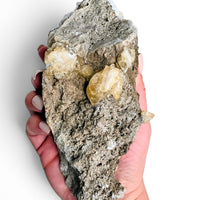 White Celestite with Calcite Specimen