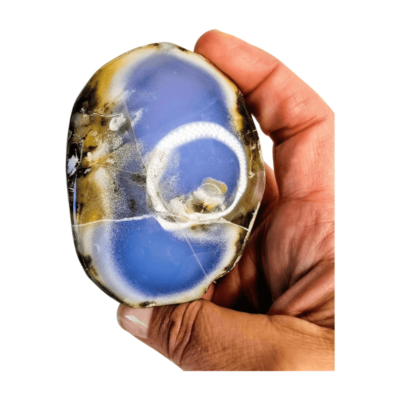 Chalcedony Palm Stone