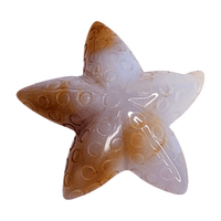 Chalcedony Sea Star