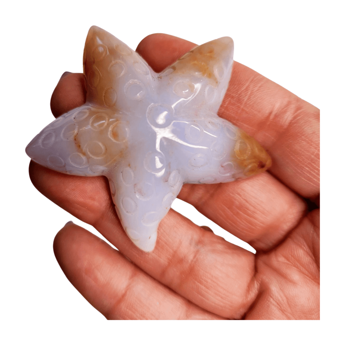 Chalcedony Sea Star