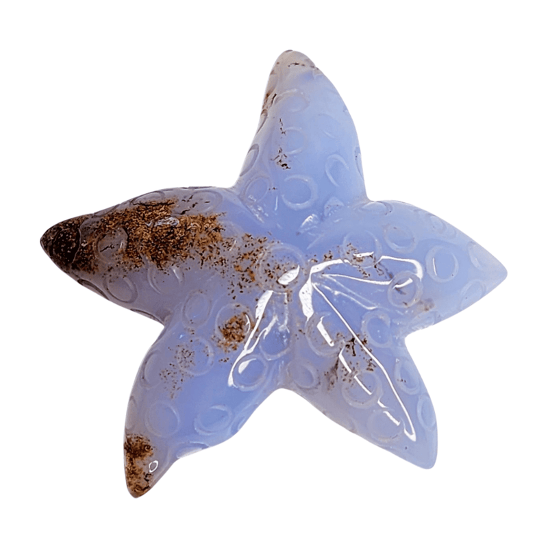 Chalcedony Sea Star