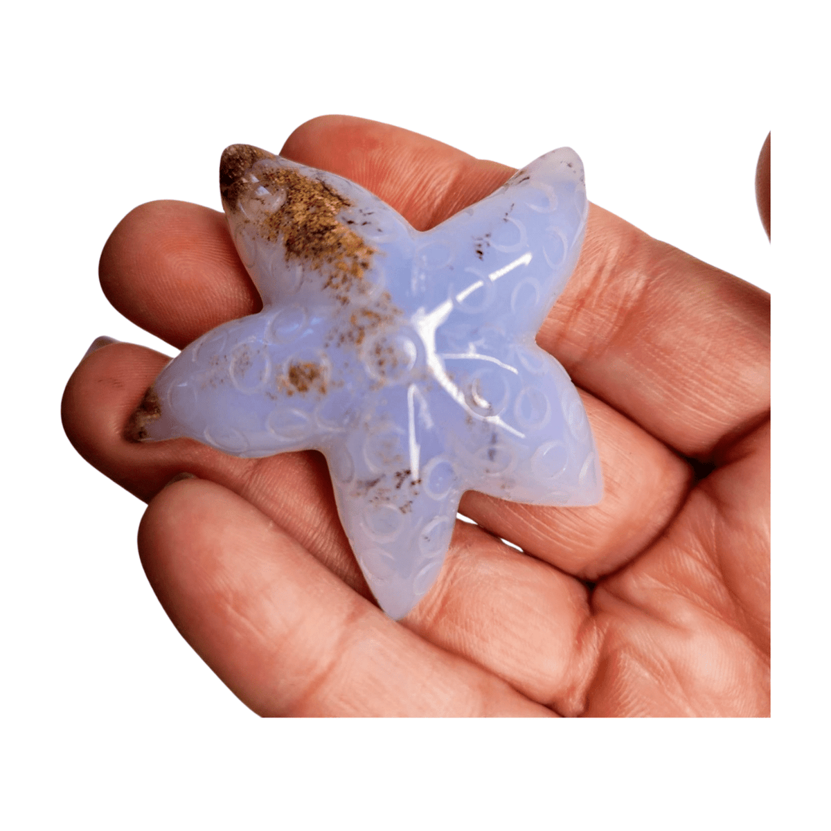 Chalcedony Sea Star