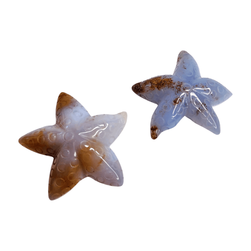 Chalcedony Sea Star