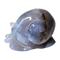 Chalcedony Snail