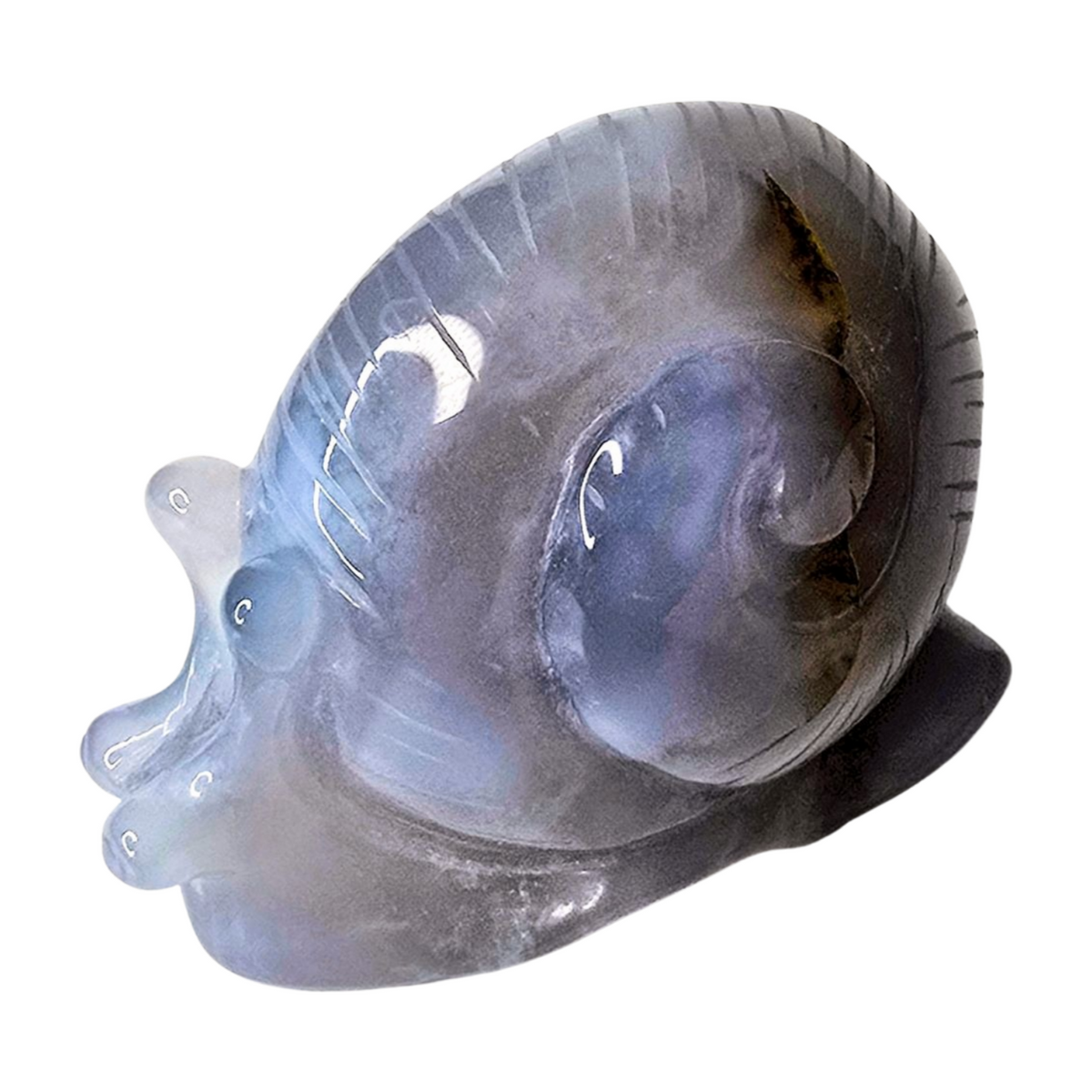 Chalcedony Snail