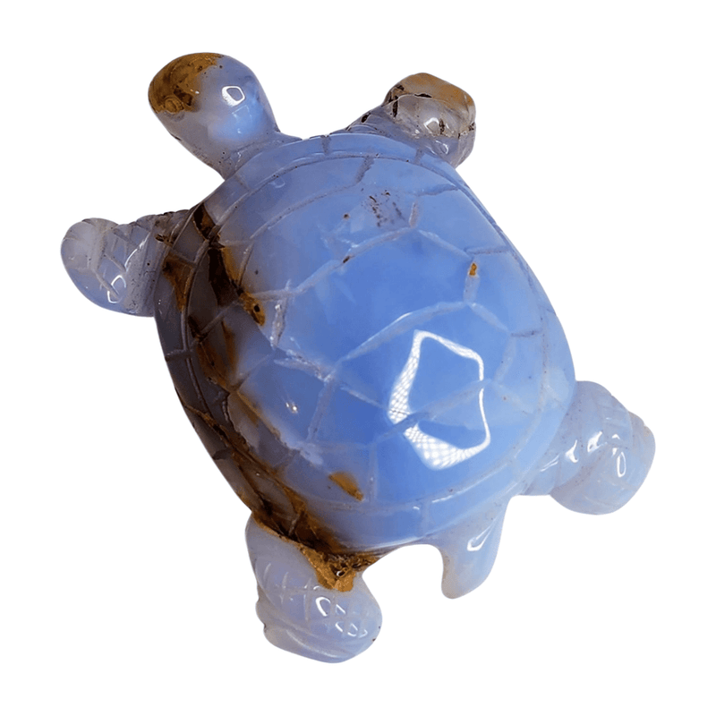 Chalcedony Turtle