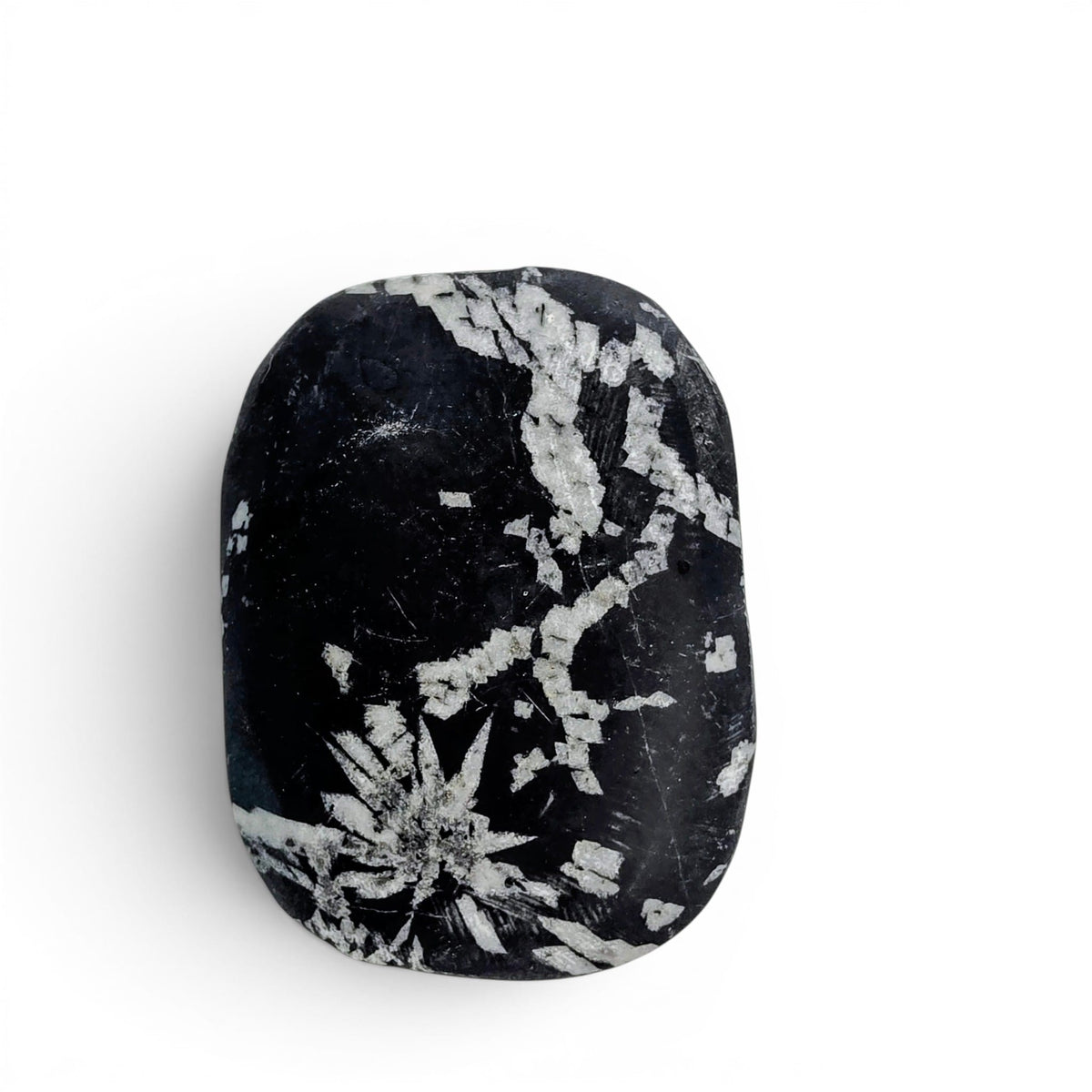 Chrysanthemum Stone Palm Stone
