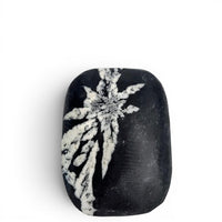 Chrysanthemum Stone Palm Stone