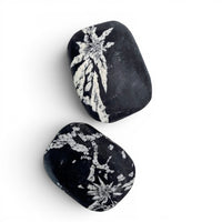 Chrysanthemum Stone Palm Stone