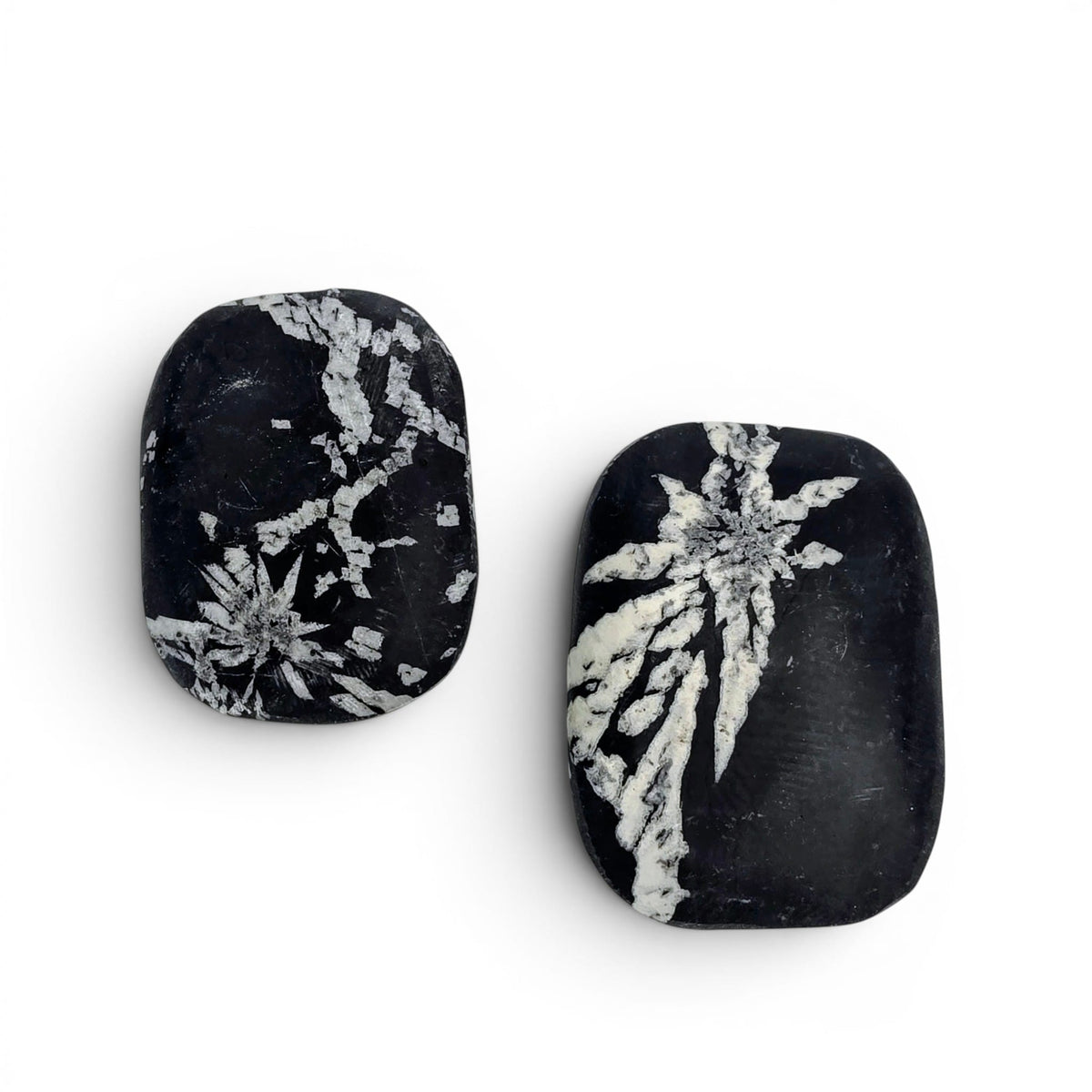 Chrysanthemum Stone Palm Stone