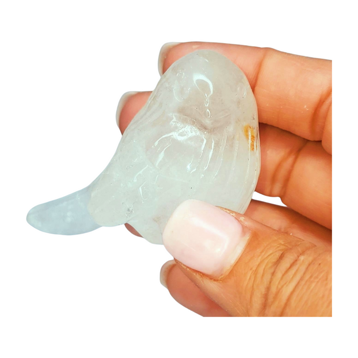 Clear Quartz Bird