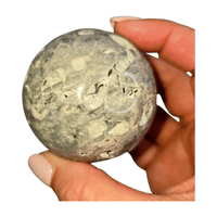 Fossil Coral Sphere