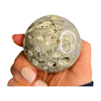 Fossil Coral Sphere