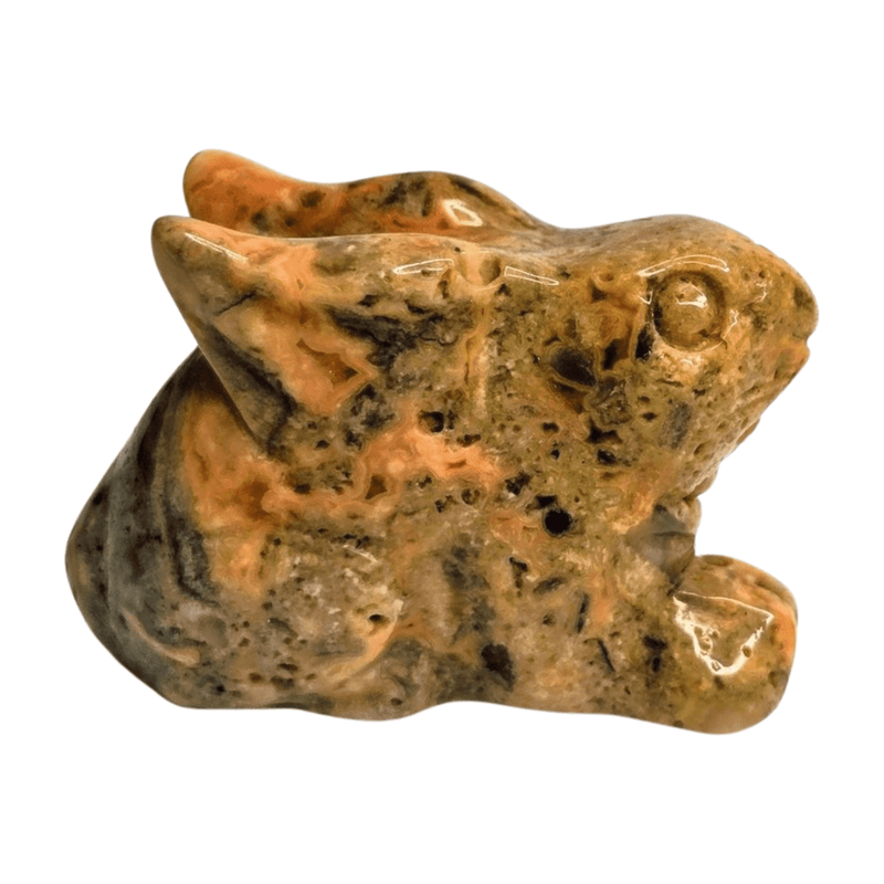 Crazy Lace Agate Rabbit