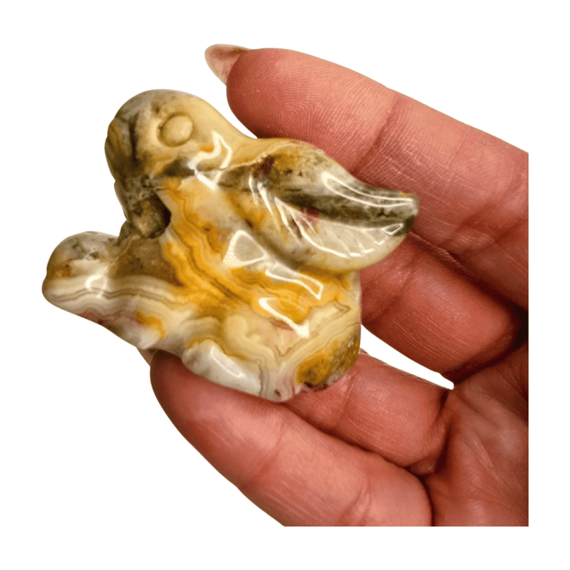 Crazy Lace Agate Rabbit