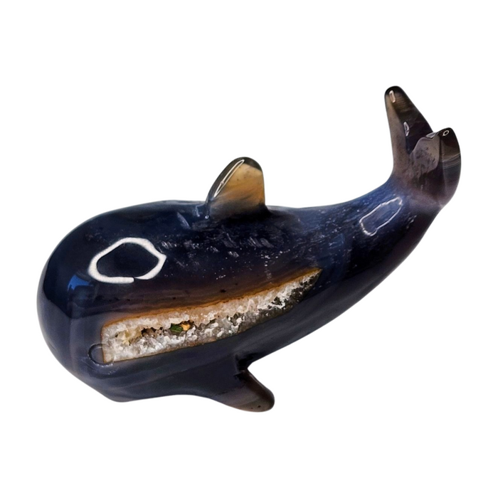 Agate Druzy Whale