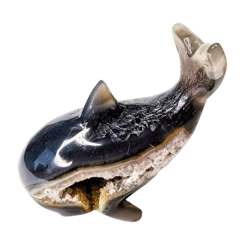 Agate Druzy Whale