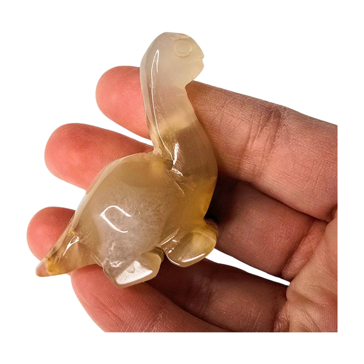 Flower Agate Dino