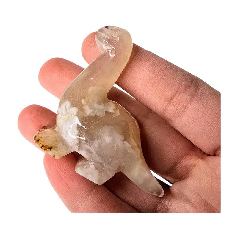 Flower Agate Dino